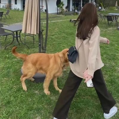 血冲